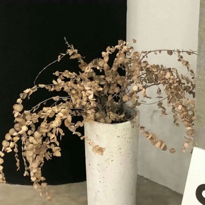 龙安福瑞交流群